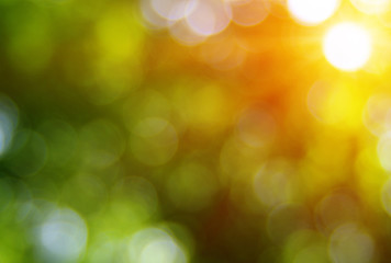 Obraz premium Green blurred background