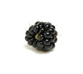  Ripe blackberries isolated on white background