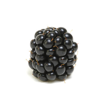Blackberry isolated on white