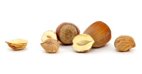 Hazelnut isolated on white
