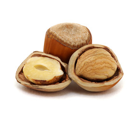 Closeup of hazelnuts