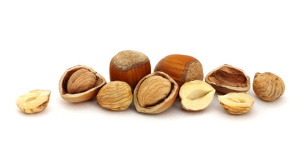 Hazelnut isolated on white