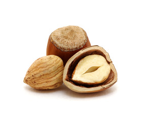 Closeup of hazelnuts