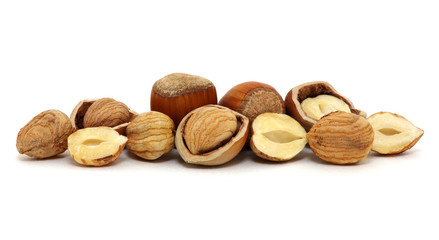Hazelnut isolated on white