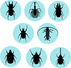 Set of beatles insects. Vector silhouettes.