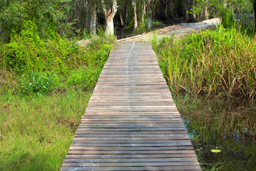 Wood bridge walkway along river
