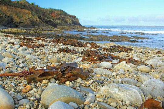 Kiesstrand in der Bretagne, Frankreich