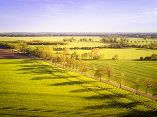 Fototapeta premium Weg
