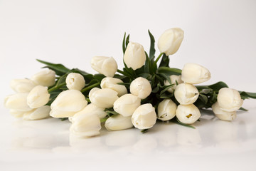 Fototapeta na wymiar Spring flowers on a white background