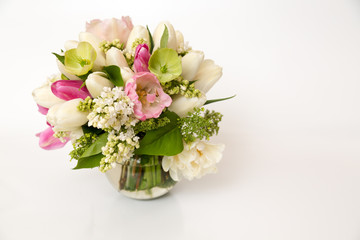 Spring flowers on a white background