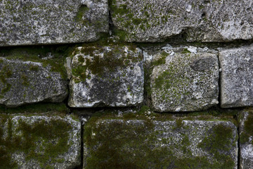 Ancient White Brick Wall With Moss Can Use For Background