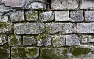 Old White Brick Wall With Moss Can Use For Background