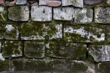 Old Brick Wall With Moss Growing On It . Use For Background