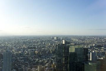 Fototapeta premium japan