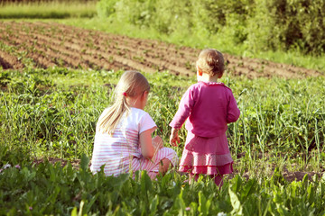 Fototapeta premium Outdoor portrait of a cute young little girls collecting strawberries outdoors.