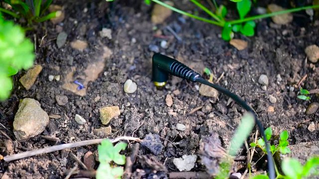 Plug and audio cable plugged into the ground