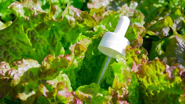 Pipette in green salad