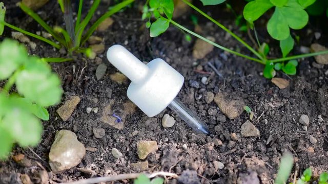 Pipette in the earth (ground)