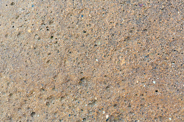 Wet sand (background).