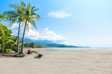 Marino Ballena National Park in Uvita - Punta Uvita - Beautiful beaches and tropical forest at...