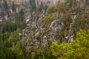 Fototapeta na wymiar Steile Felswände inmitten der Wälder Sachsens