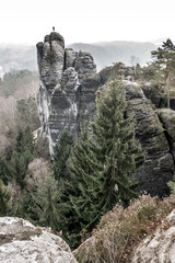 Steile Sandsteinformationen ragen aus dem Wald empor