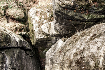 Tiefe Felsspalten durchziehen die Felsen des Elbsandsteingebirges