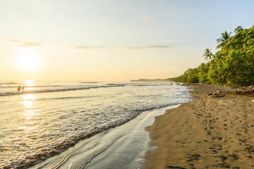 Sunset at paradise beach in Uvita, Costa Rica - beautiful beaches and tropical forest at pacific coast of Costa Rica - travel destination in central america