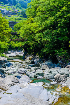 渓流と風景 吊り橋