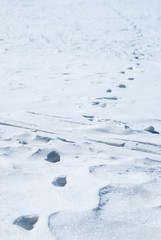 footprints on snow