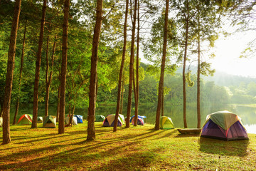 Fototapeta premium Pang Oung District Animal Area