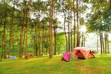 Pang Oung District Animal Area,