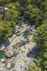 渓流と風景 吊り橋