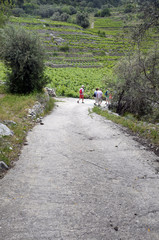 Obraz premium Chemin de randonnée entre Vourliotes et Manoletes (Samos)