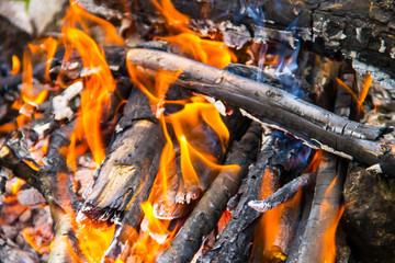 Flame of bonfire. Burning firewood in the fireplace closeup