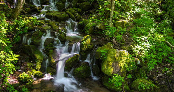Smoky Mountain Waterfall. Mountain stream tumbles down the mountain side surrounded by lush green foliage. The Smoky Mountains are considered a rain forest and are America's most visited national park