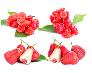 Rose apple isolted on white background