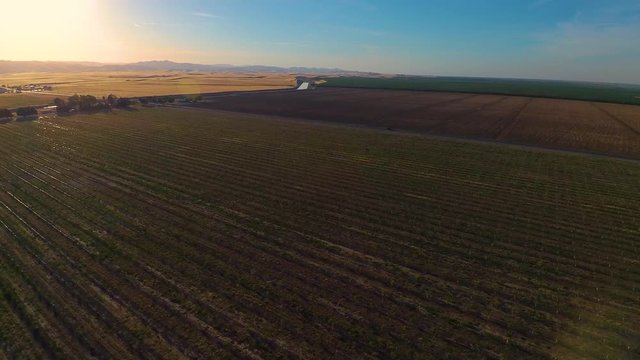 California Central Valley Farmland Crops Field Stanislaus Sunset