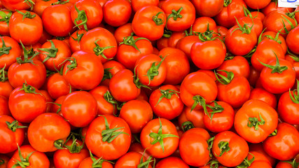 group of red tomatoes