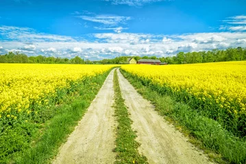  Zweedse verkrachtingsboerderij © Piotr Wawrzyniuk