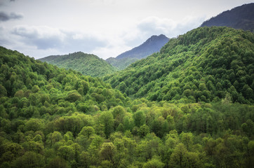 Green caucasus mountains landscape in Georgia, natural background