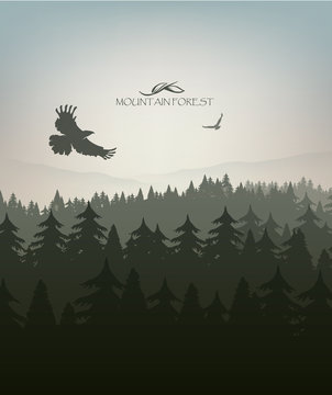 mountain forest in fog and eagle