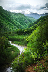 Fototapeta na wymiar Green caucasus mountains landscape in Georgia, natural background