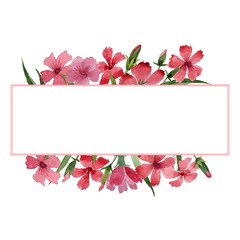 Wildflower carnation flower frame in a watercolor style isolated.