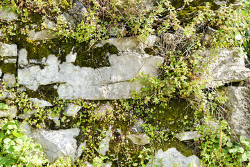 Obraz premium Bruchsteinmauer