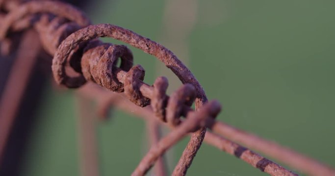 rusty barbwire link isolated against green background