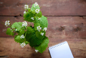 Small white flowers on wooden background