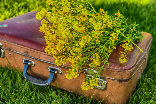 Vintage antique suitcase, bouquet of yellow flowers and book concept of romance and travel against the background of green grass