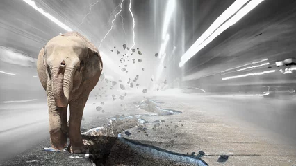 Foto op Aluminium Massive elephant as symbol for transportation concept © Sergey Nivens