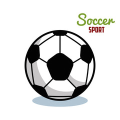 Obraz premium soccer sport ball isolated icon vector illustration design